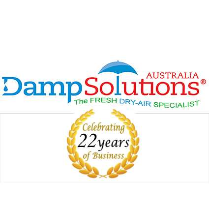 Damp Solutions 22 years in business Logo